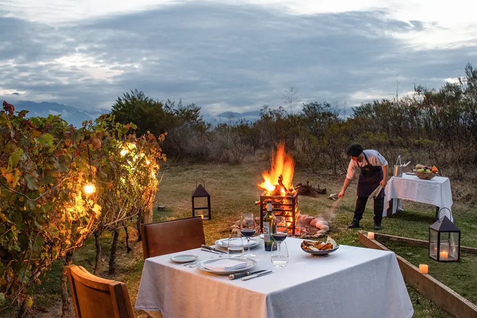 Mendoza and Santiago Chile Wine Tour Private