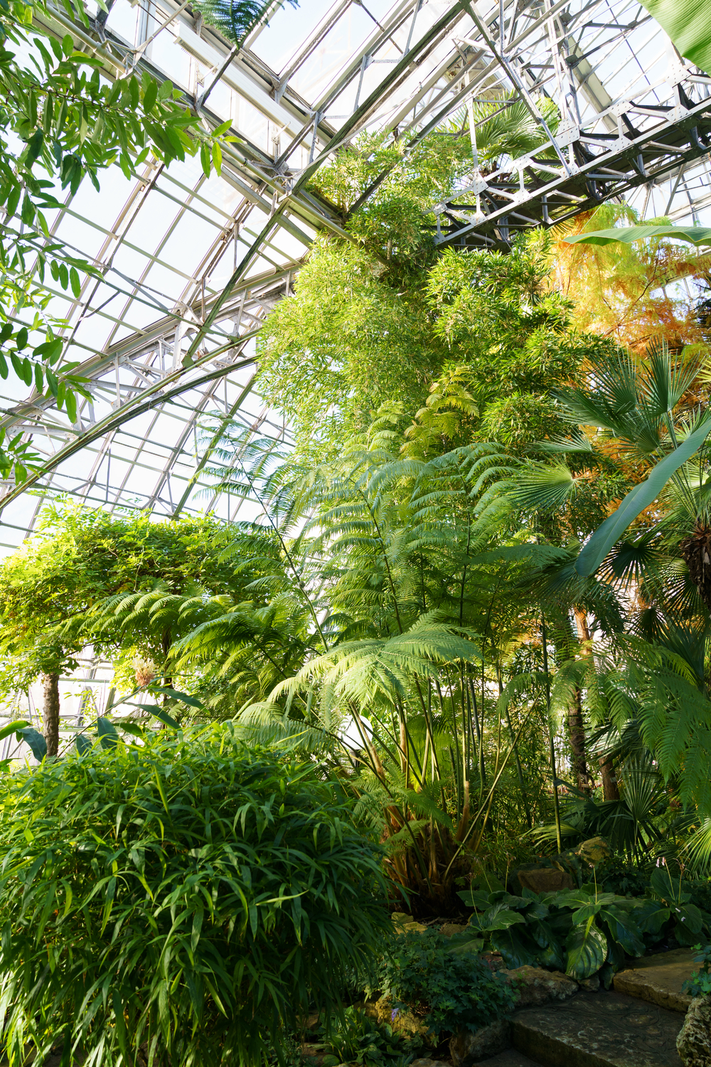Design Wildlife Sanctuary