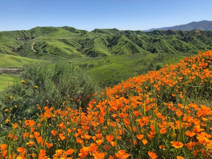 chino hills state park